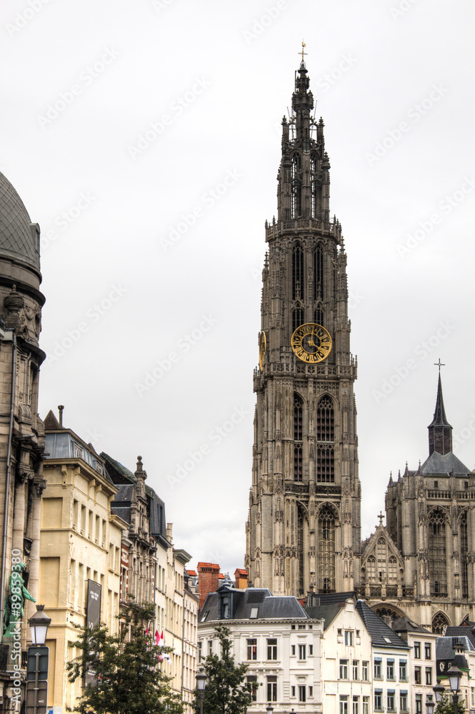 Fototapeta premium View over the Suikerrui in Antwerp, Belgium with the cathedral in the background 