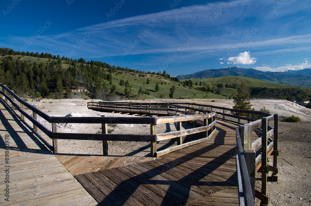 Fototapeta premium Mammoth Hot Springs Boardwalk