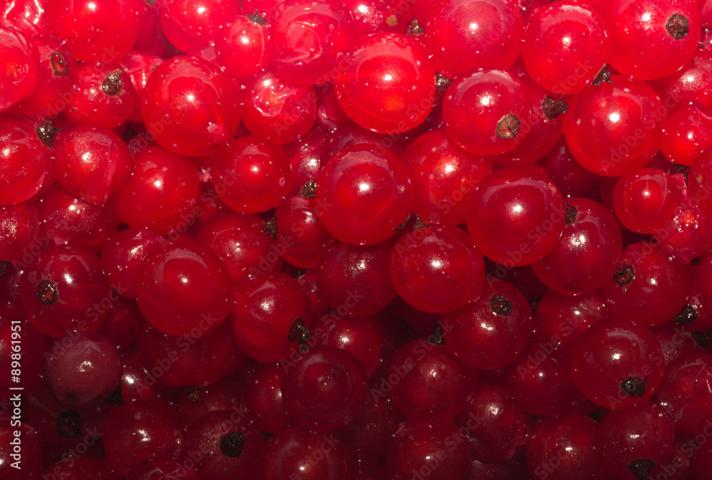 red currants red currants