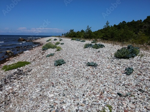 Stenstrand på Gotland