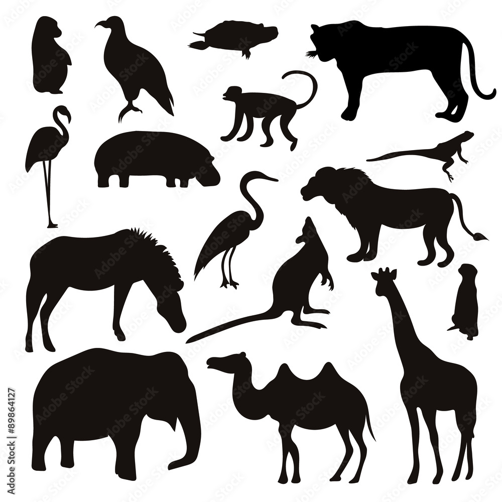 Vector Set of Black Tropical Animals and Birds Silhouettes.