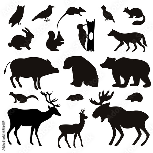 Vector Set of Black Tropical Animals and Birds Silhouettes.