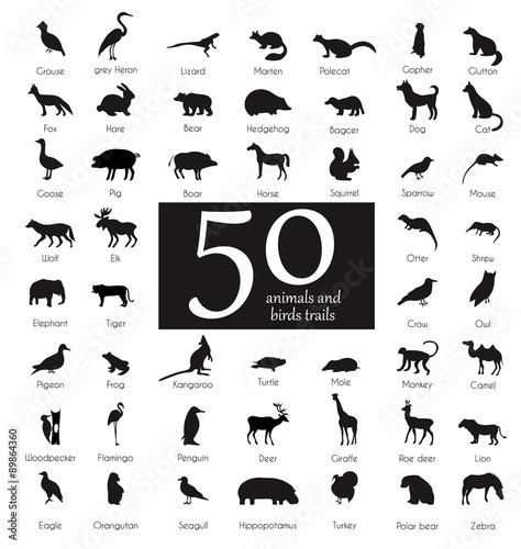 Set of Animal and Bird Trails with Name.