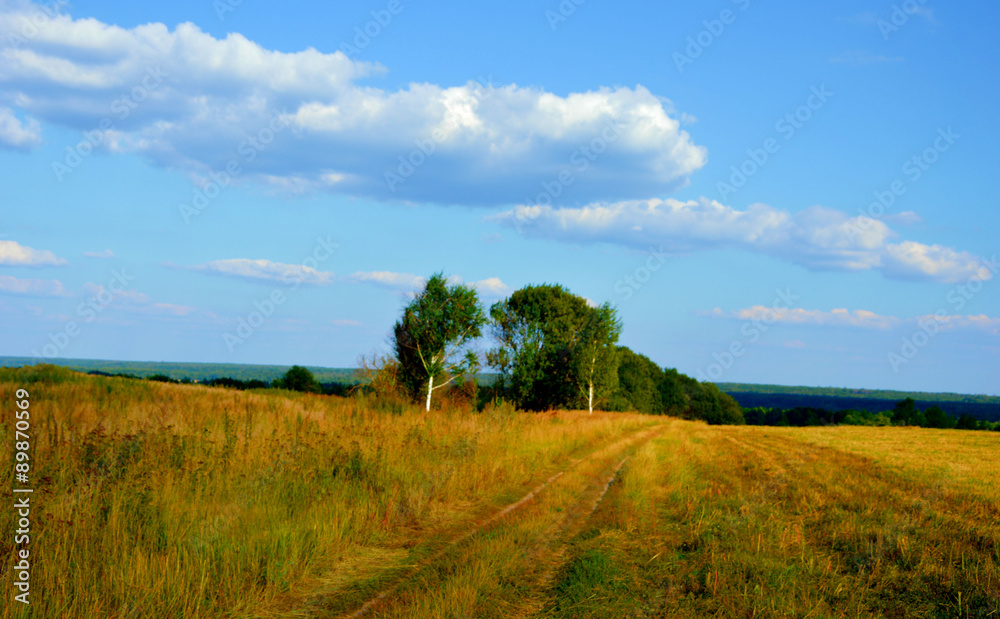 Fototapeta premium Брянское лето