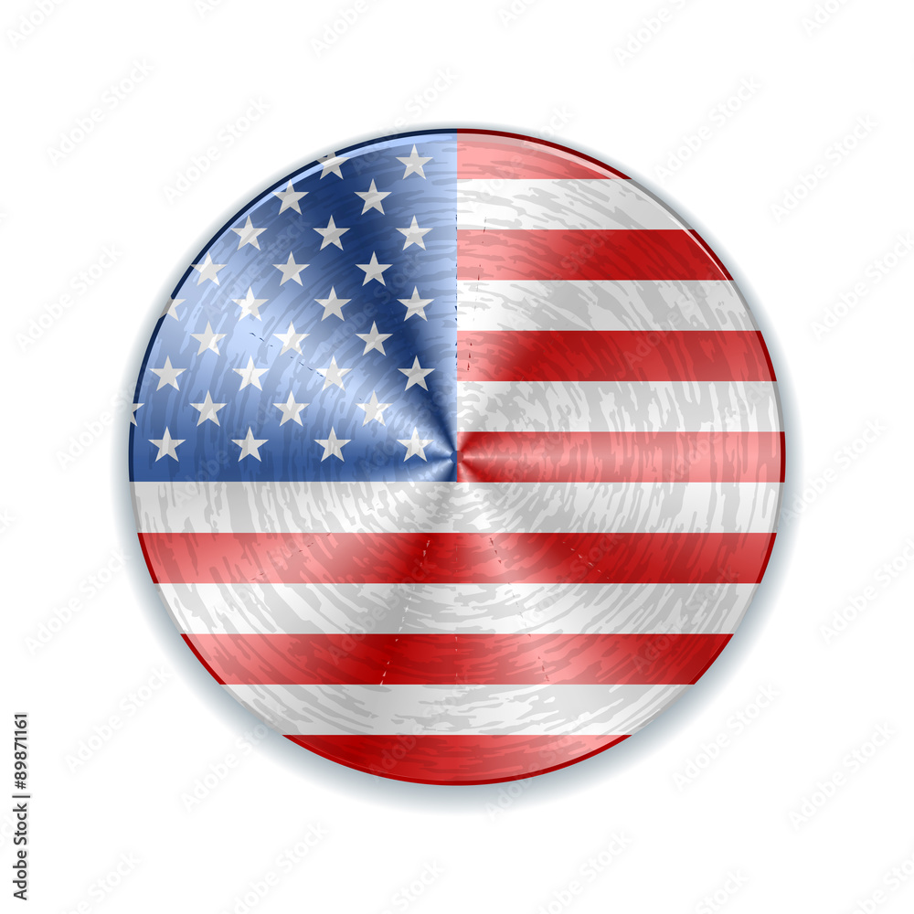 USA metal button