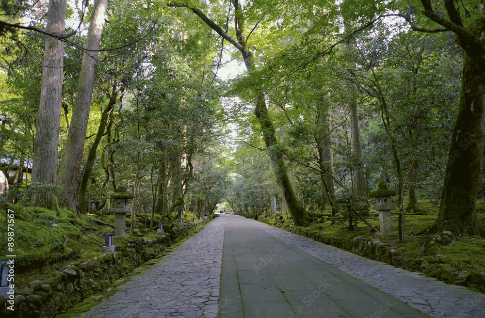 Obraz premium 名勝那谷寺の参道の木々