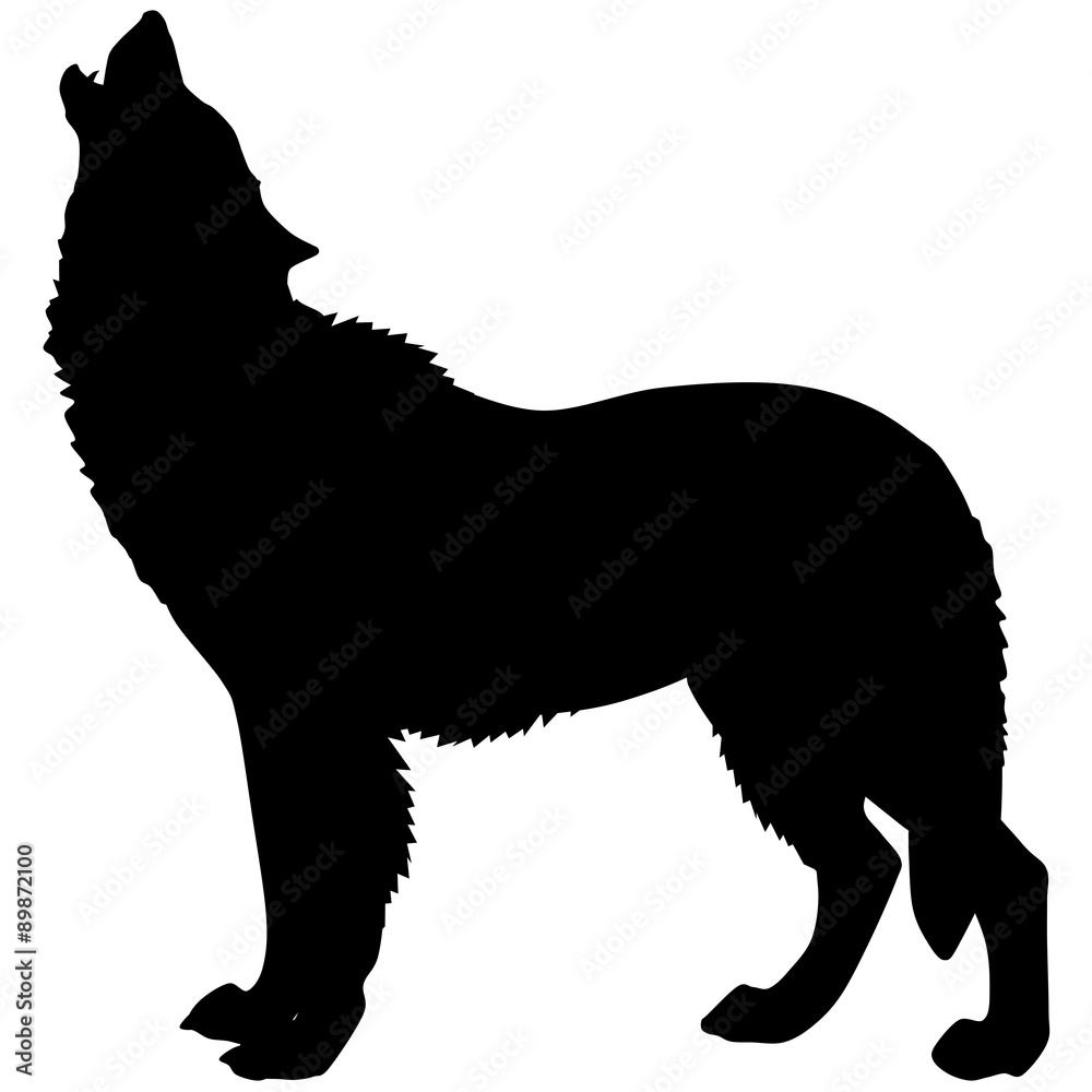 Obraz premium silhouette of a wolf 2