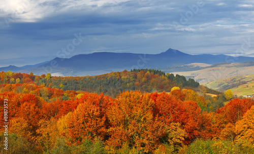 autumn color forest and mountains in the background