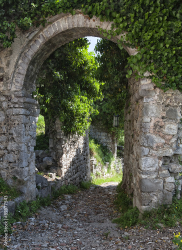 Fototapeta Naklejka Na Ścianę i Meble -  Ruins of Old Bar, Montenegro