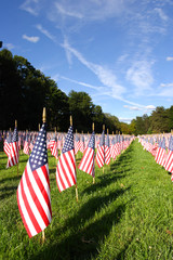Field of American Flags ..