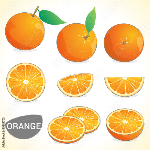 Set of orange fruit in various styles vector format