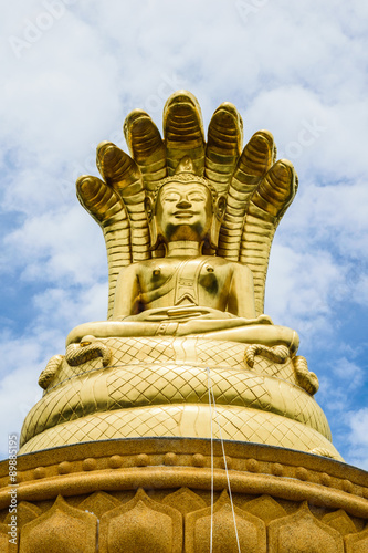 Buddha seven kings