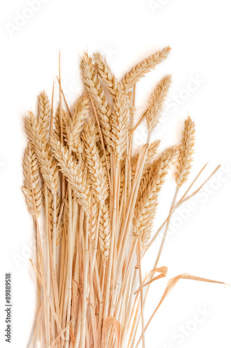 Sheaf of wheat ears on a light background