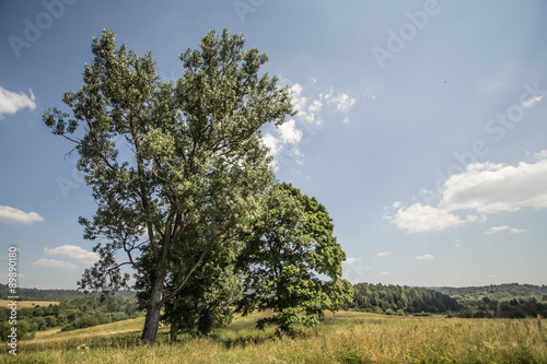 An incredible panorama from the Bieszczadys mountains.