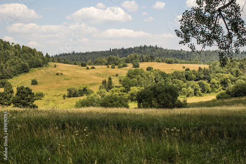 An incredible panorama from the Bieszczadys mountains.