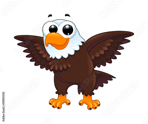 Young eagle