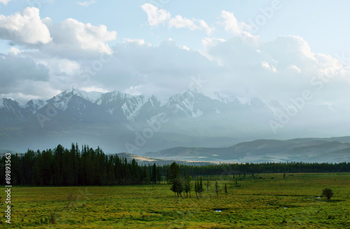 Beautiful landscape with green valley and snowy mountains in the distance at twilight