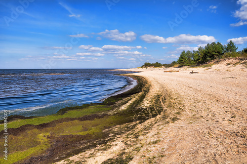 Baltic beach covered with rotten algae. Baltic sea coast, Saulkrasti, Latvia