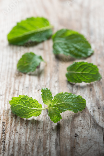 Mint on wood background.