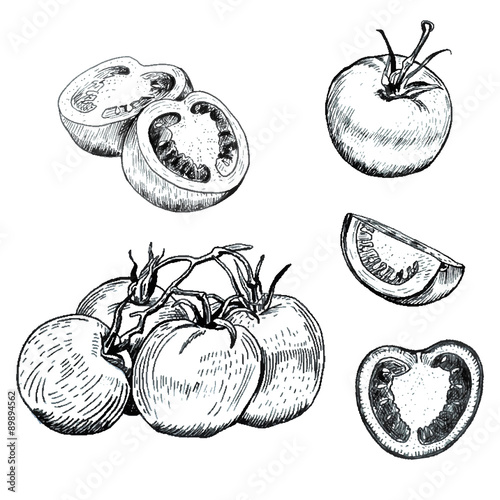 Ink tomatoes sketches set