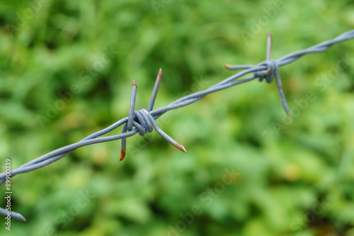 Barbed wire fence selective focus © lersan