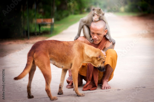 Valokuva Buddhist monk have compassion for Dog and Monkey.