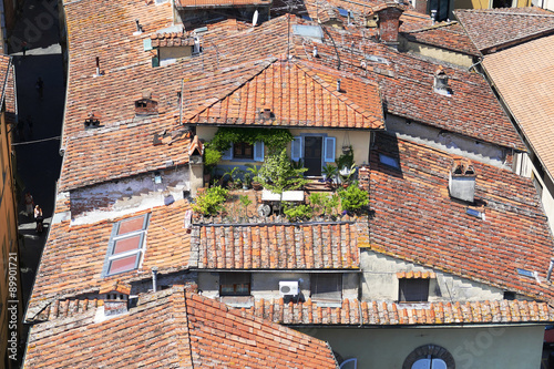 Roofgarden in the city of Lucca, Italy © Petrus