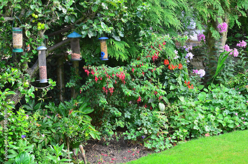Bird feeders in a typical english country garden