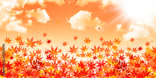 もみじ　紅葉　背景