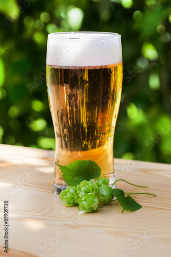 glass of beer with hops on the wooden sun, garden, street