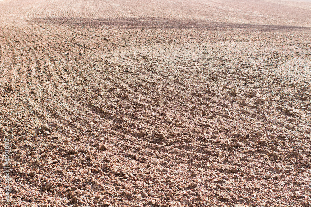 arable land