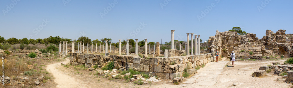 Кипр. Развалины римского поселения Salamis (IV век до н. э.). 
