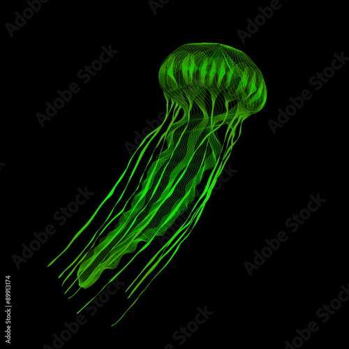 Jellyfish. 3d style vector illustration for print tatto t-shirt.