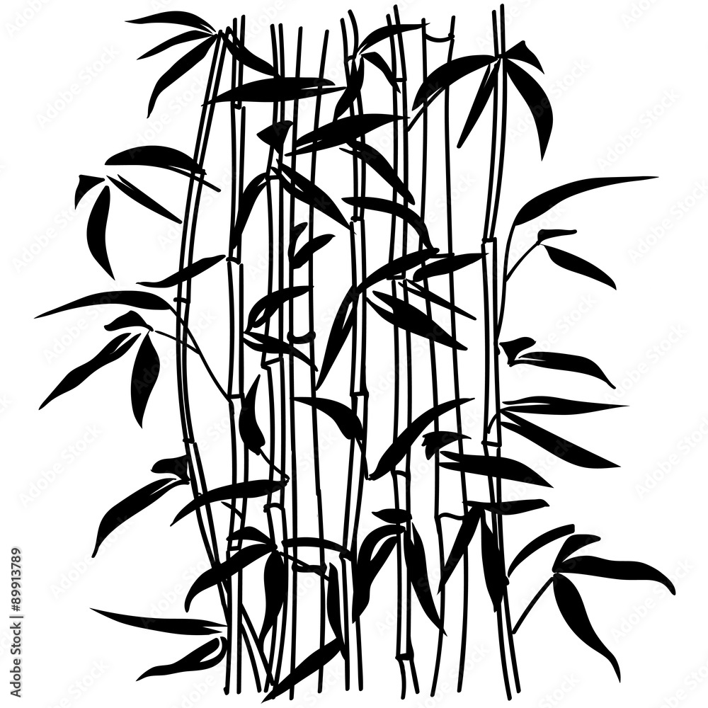 Naklejka premium Bamboo leaf background. The top of the bamboo.