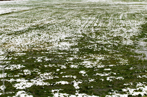 Tableau sur toile Meadow with snow in the winter