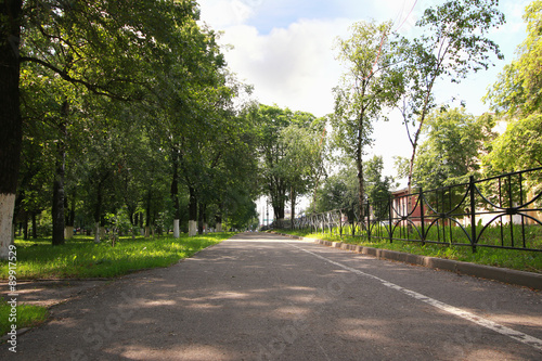 Fototapeta Naklejka Na Ścianę i Meble -  landscape park in the city summer