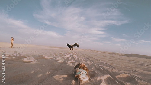 Slow motion bald eagle catching lure in the desert 100 fps