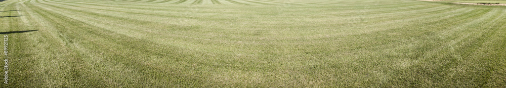 Panorama panoramica parco verde Panorama panoramica parco verde
