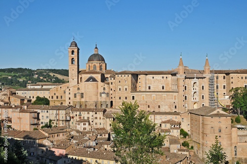 Urbino  Marche