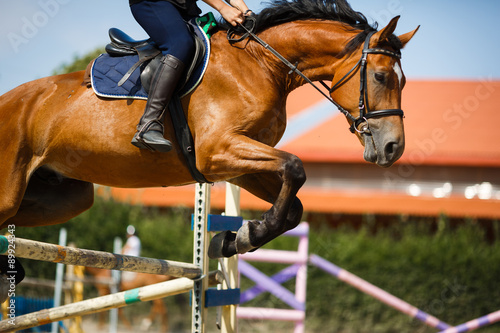 Horse rider jumping © castenoid