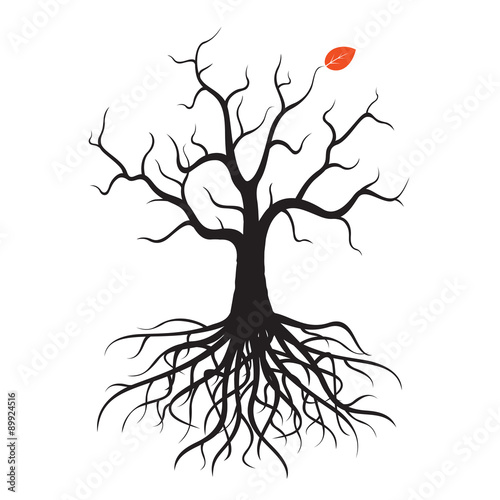 Winter Tree and Last Leaf
