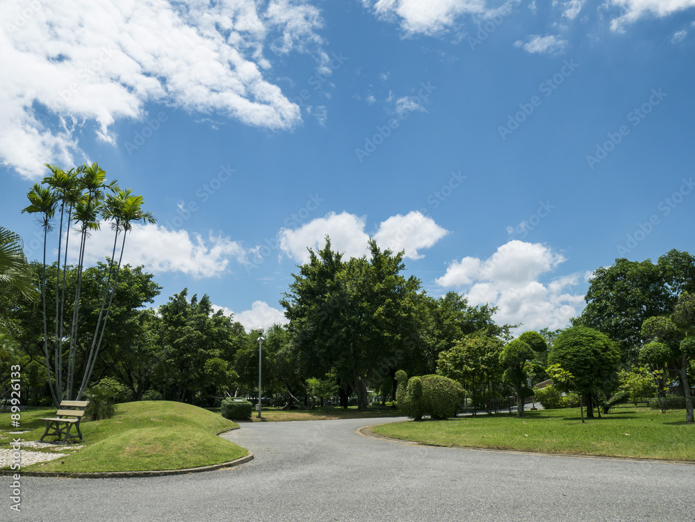 Obraz premium Park under blue sky 1