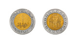 Coin one pound. Egypt