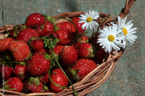 strawberries in a basket and daisy