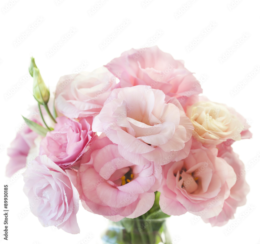 Romantic pink eustoma bunch isolated on white background