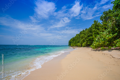 Isla Zapatilla at Bocas del Toro Province in Panama