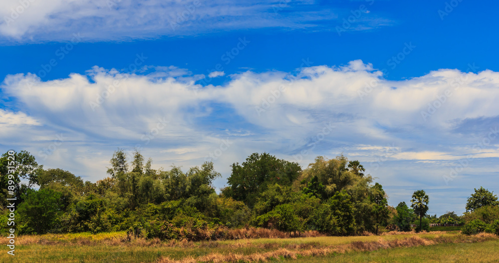 Fototapeta premium Sky background with the fluffy white clouds
