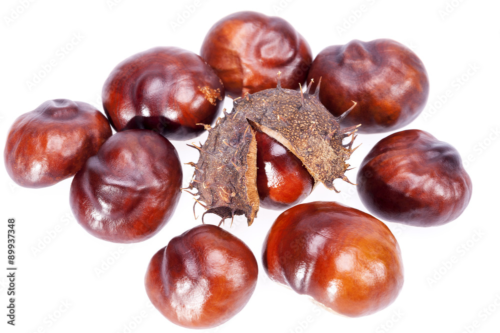 fruits of chestnuts in dry shell isolated on white background fruits of chestnuts in dry shell isolated on white background