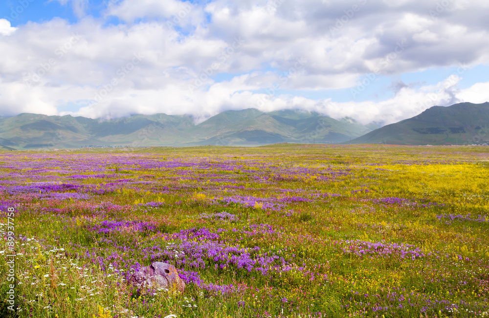 Caucasian mountains on a sunny summer day