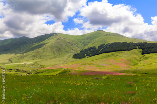 Caucasian mountains on a sunny summer day